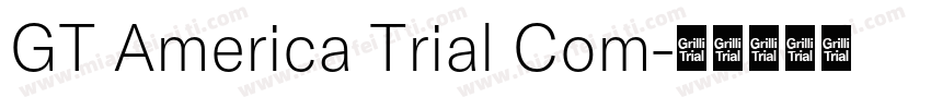 GT America Trial Com字体转换